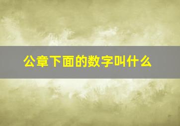 公章下面的数字叫什么