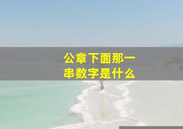 公章下面那一串数字是什么