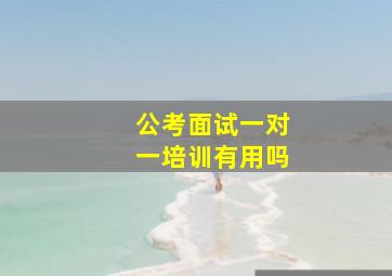 公考面试一对一培训有用吗