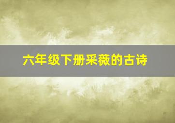 六年级下册采薇的古诗