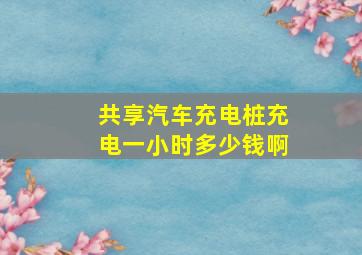 共享汽车充电桩充电一小时多少钱啊