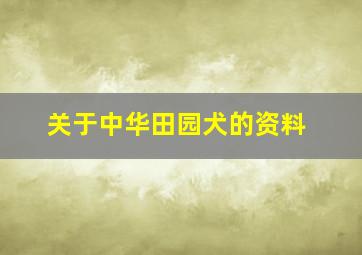 关于中华田园犬的资料