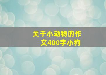 关于小动物的作文400字小狗