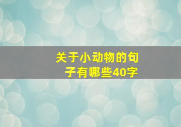 关于小动物的句子有哪些40字