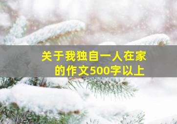 关于我独自一人在家的作文500字以上