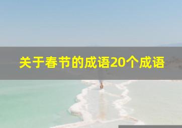 关于春节的成语20个成语