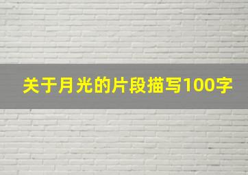 关于月光的片段描写100字