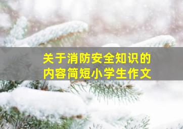 关于消防安全知识的内容简短小学生作文