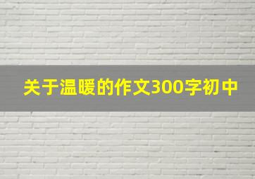 关于温暖的作文300字初中