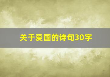 关于爱国的诗句30字