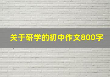 关于研学的初中作文800字