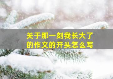 关于那一刻我长大了的作文的开头怎么写