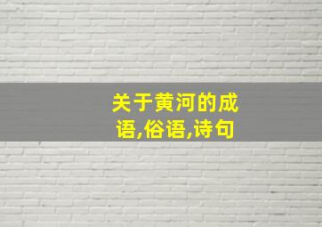 关于黄河的成语,俗语,诗句