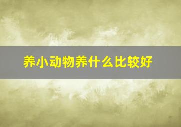 养小动物养什么比较好