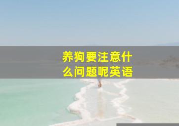 养狗要注意什么问题呢英语