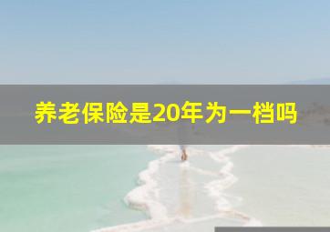 养老保险是20年为一档吗