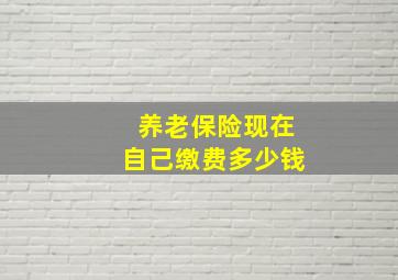 养老保险现在自己缴费多少钱