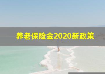 养老保险金2020新政策