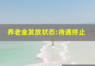 养老金发放状态:待遇终止