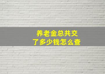 养老金总共交了多少钱怎么查