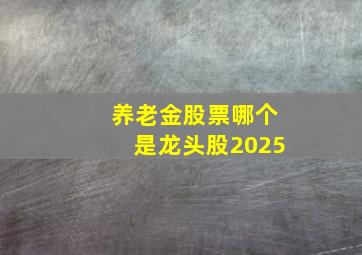 养老金股票哪个是龙头股2025