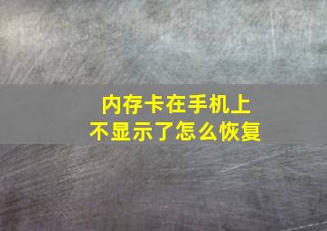 内存卡在手机上不显示了怎么恢复