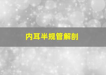 内耳半规管解剖