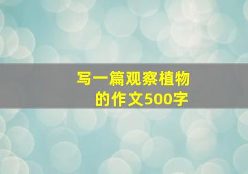 写一篇观察植物的作文500字