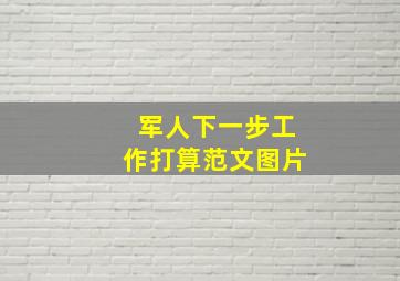 军人下一步工作打算范文图片