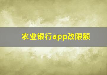 农业银行app改限额