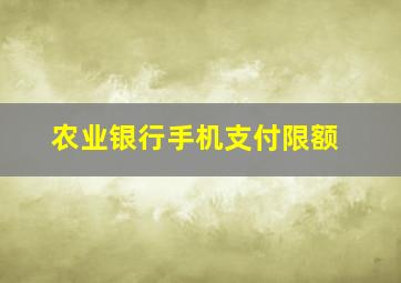 农业银行手机支付限额