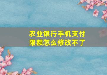 农业银行手机支付限额怎么修改不了