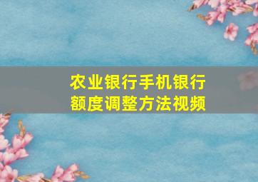 农业银行手机银行额度调整方法视频