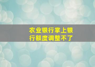 农业银行掌上银行额度调整不了