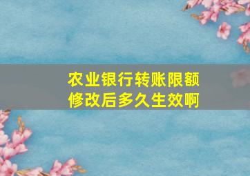 农业银行转账限额修改后多久生效啊