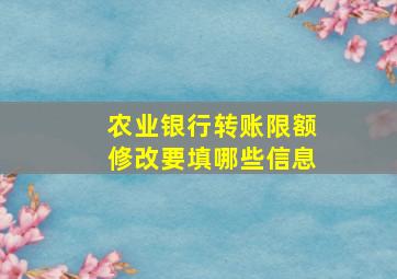 农业银行转账限额修改要填哪些信息