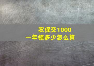 农保交1000一年领多少怎么算