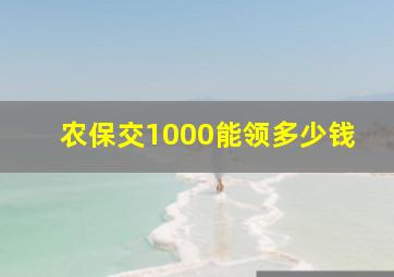 农保交1000能领多少钱