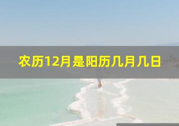 农历12月是阳历几月几日