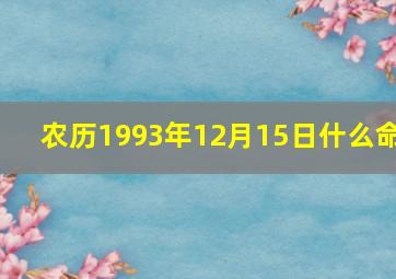 农历1993年12月15日什么命