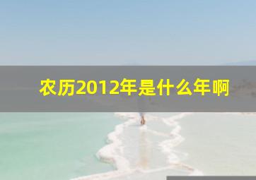 农历2012年是什么年啊