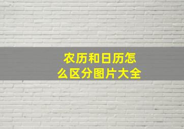 农历和日历怎么区分图片大全