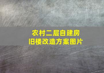 农村二层自建房旧楼改造方案图片