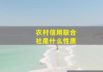 农村信用联合社是什么性质