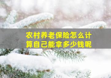 农村养老保险怎么计算自己能拿多少钱呢