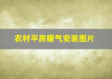 农村平房暖气安装图片