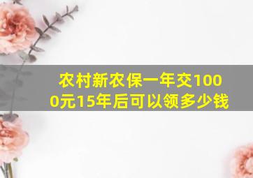 农村新农保一年交1000元15年后可以领多少钱