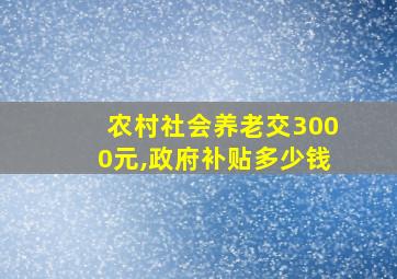 农村社会养老交3000元,政府补贴多少钱