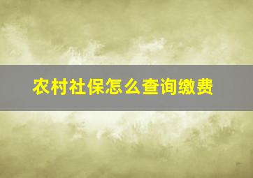 农村社保怎么查询缴费