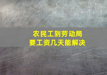 农民工到劳动局要工资几天能解决